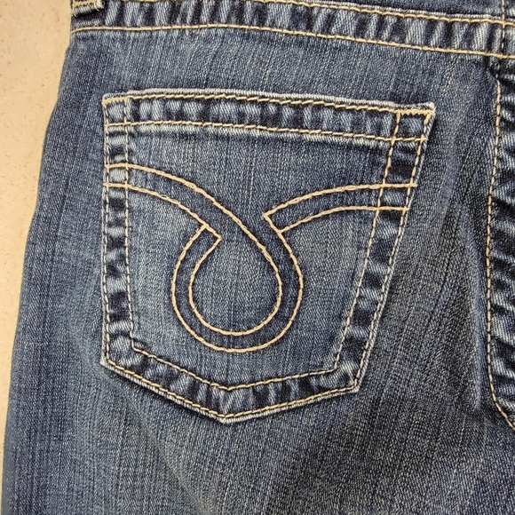 Big Star Sydney Boyfriend Coast Cowgirl Mid Rise Denim Blue Jeans Sz 29 - Picture 8 of 16